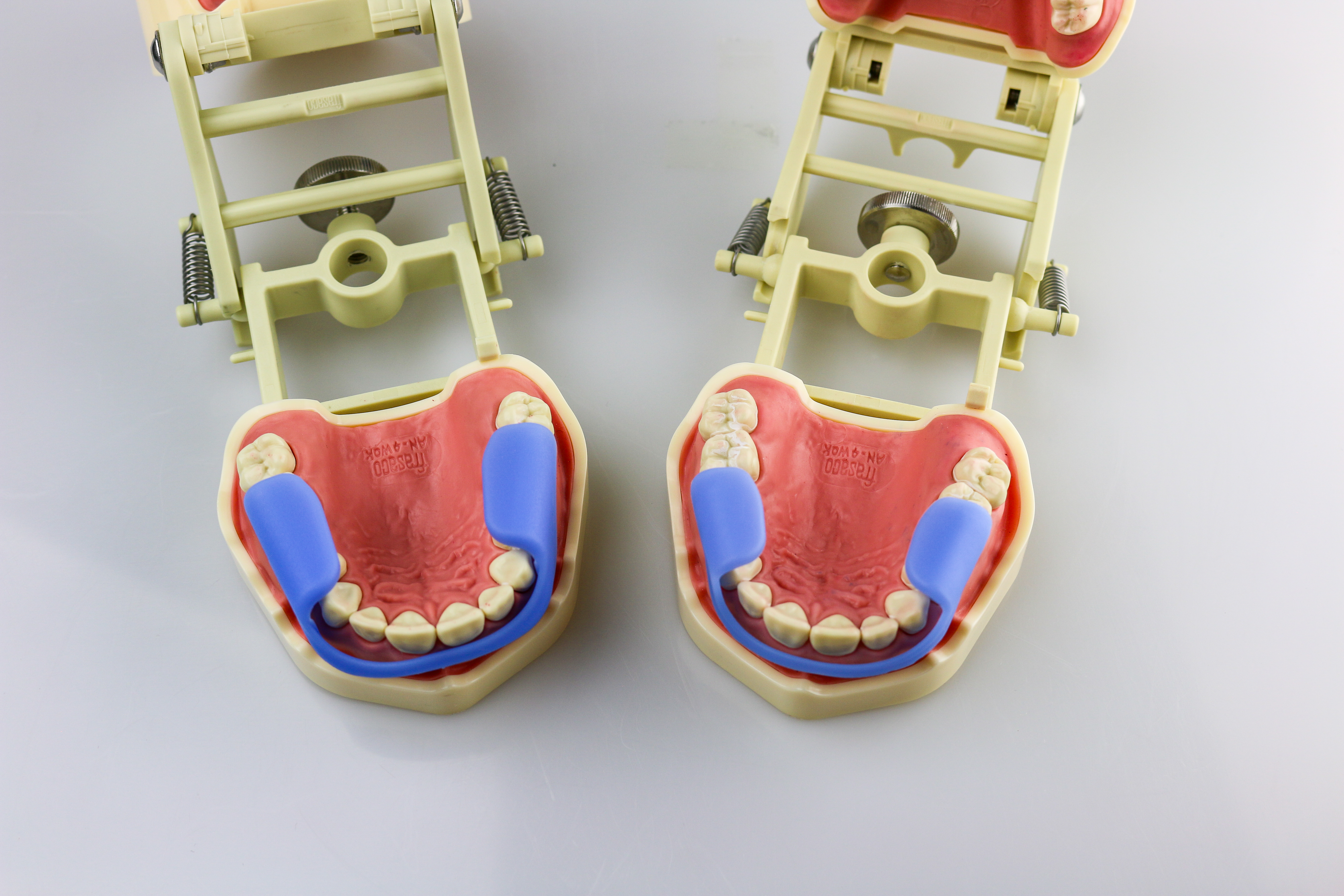 RehaSplint MINI Hard